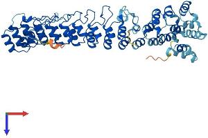 AlphaFold protein structure predicition of Human Recombinant ASB3 Protein, UniprotID Q9Y575
