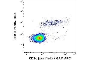 Flow cytometry multicolor surface staining of human lymphocytes stained using anti-human CD1c (L161) purified antibody (concentration in sample 0,33 μg/mL, GAM APC) and anti-human CD19 (LT19) APC antibody (20 μL reagent / 100 μL of peripheral whole blood). (CD1c anticorps)