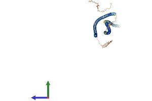 AlphaFold protein structure predicition of Human Recombinant KRT80 Protein, UniprotID Q6KB66