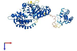 AlphaFold protein structure predicition of Human Recombinant EHD2 Protein, UniprotID Q9NZN4