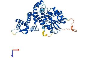 AlphaFold protein structure predicition of Mouse Recombinant Asmt Protein, UniprotID D3KU66