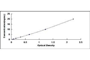 Typical standard curve (MLYCD Kit ELISA)