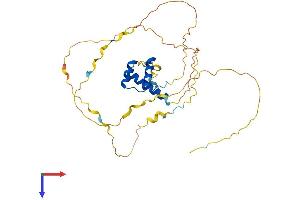 AlphaFold protein structure predicition of Human Recombinant HOXA4 Protein, UniprotID Q00056