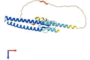AlphaFold protein structure predicition of Human Recombinant ING4 Protein, UniprotID Q9UNL4