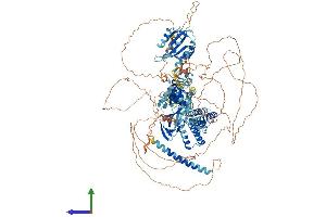 AlphaFold protein structure predicition of Human Recombinant KCNH7 Protein, UniprotID Q9NS40