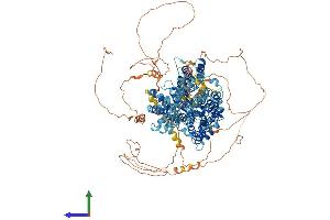 AlphaFold protein structure predicition of Mouse Recombinant Slc4a3 Protein, UniprotID P16283