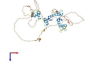 AlphaFold protein structure predicition of Human Recombinant ZNF296 Protein, UniprotID Q8WUU4