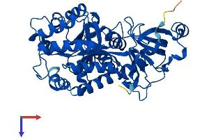 AlphaFold protein structure predicition of Human Recombinant GDA Protein, UniprotID Q9Y2T3