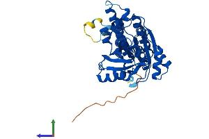 AlphaFold protein structure predicition of Mouse Recombinant Dmc1 Protein, UniprotID Q61880