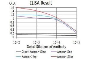 Black line: Control Antigen (100 ng),Purple line: Antigen (10 ng), Blue line: Antigen (50 ng), Red line:Antigen (100 ng)