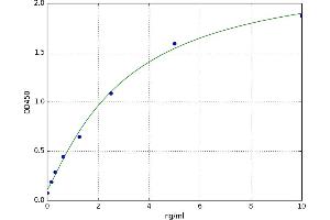 A typical standard curve (CX3CR1 Kit ELISA)