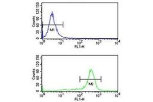 RPS6KB2 antibody flow cytometry analysis of K562 cells (bottom histogram) compared to a negative control (top histogram).