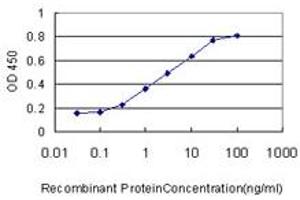 Detection limit for recombinant GST tagged ACYP1 is approximately 0.