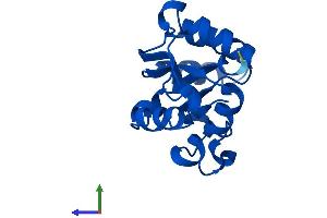 AlphaFold protein structure predicition of Mouse Recombinant Nme2 Protein, UniprotID Q01768