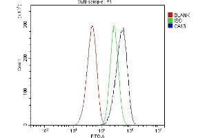 Flow Cytometry analysis of CACO-2 cells using anti-Carbonic Anhydrase 13/CA13 antibody (ABIN7603164). (CA13 anticorps  (N-Term))