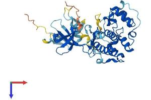 AlphaFold protein structure predicition of Mouse Recombinant Cdk10 Protein, UniprotID Q3UMM4