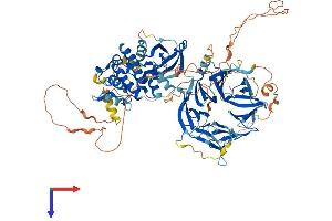 AlphaFold protein structure predicition of Human Recombinant MAP4K3 Protein, UniprotID Q8IVH8