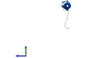 AlphaFold protein structure predicition of Human Recombinant TEKT2 Protein, UniprotID Q9UIF3