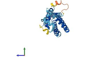 AlphaFold protein structure predicition of Mouse Recombinant Cd81 Protein, UniprotID P35762