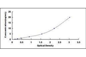 SRY (Sex Determining Region Y)-Box 9 (SOX9) ELISA Kit