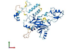 AlphaFold protein structure predicition of Mouse Recombinant Snapc3 Protein, UniprotID Q9D2C9