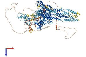 AlphaFold protein structure predicition of Mouse Recombinant Kdm5d Protein, UniprotID Q62240