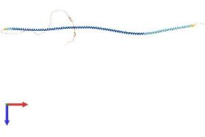 AlphaFold protein structure predicition of Human Recombinant CCDC91 Protein, UniprotID Q7Z6B0