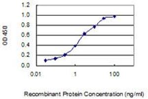 anti-Testis expressed 43 (TEX43) (AA 1-134) antibody