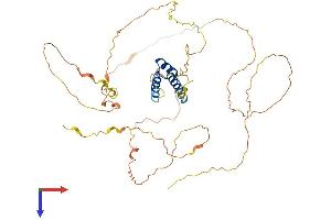 AlphaFold protein structure predicition of Human Recombinant IRX2 Protein, UniprotID Q9BZI1