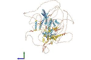 AlphaFold protein structure predicition of Mouse Recombinant Snapc4 Protein, UniprotID Q8BP86