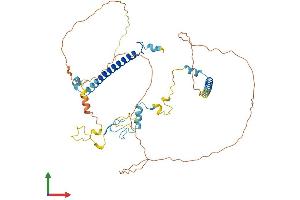 AlphaFold protein structure predicition of Human Recombinant CIR1 Protein, UniprotID Q86X95 (CIR1 Protein (AA 1-450) (His tag))