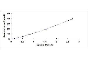 Typical standard curve (FBLN2 Kit ELISA)