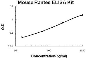 Mouse Rantes Accusignal ELISA Kit Mouse Rantes AccuSignal ELISA Kit standard curve.