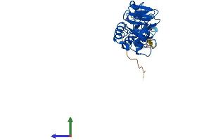 AlphaFold protein structure predicition of Human Recombinant RCHY1 Protein, UniprotID Q96PM5