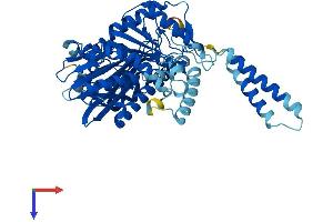 AlphaFold protein structure predicition of Mouse Recombinant Sacm1l Protein, UniprotID Q9EP69