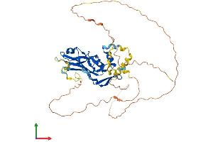 AlphaFold protein structure predicition of Mouse Recombinant Tbx20 Protein, UniprotID Q9ES03