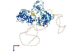 AlphaFold protein structure predicition of Mouse Recombinant Sfmbt1 Protein, UniprotID Q9JMD1