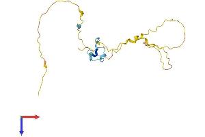 AlphaFold protein structure predicition of Mouse Recombinant Prr3 Protein, UniprotID Q811B5
