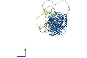 AlphaFold protein structure predicition of Human Recombinant SLC12A5 Protein, UniprotID Q9H2X9