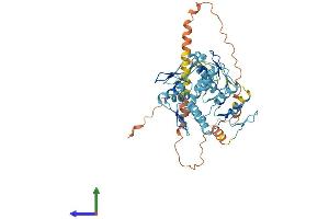 AlphaFold protein structure predicition of Human Recombinant ZNF486 Protein, UniprotID Q96H40