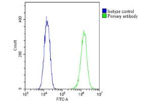 Overlay histogram showing C2C12 cells stained with (ABIN6242236 and ABIN6578878)(green line).