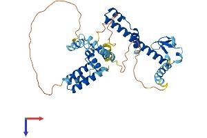 AlphaFold protein structure predicition of Mouse Recombinant Dnajb12 Protein, UniprotID Q9QYI4