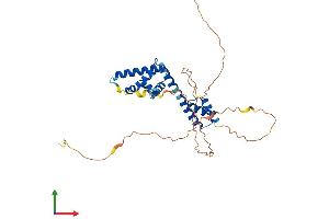 AlphaFold protein structure predicition of Mouse Recombinant Pou5f2 Protein, UniprotID Q9DAC9