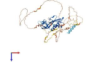 AlphaFold protein structure predicition of Mouse Recombinant Rtp3 Protein, UniprotID Q5QGU6
