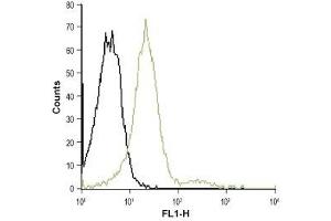Cell surface detection of CXCR2 in live intact Jurkat cells: (black line) Unstained cells.