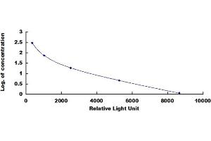 ELISA image for Hemoglobin CLIA Kit (ABIN4947640)