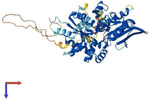 AlphaFold protein structure predicition of Mouse Recombinant Narf Protein, UniprotID Q9CYQ7