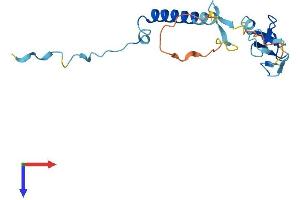 SIVA1, Apoptosis-Inducing Factor (SIVA1) (AA 1-175) protein (His tag)