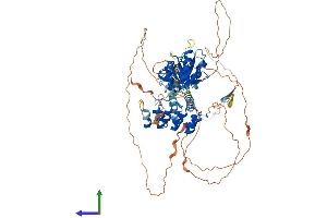 AlphaFold protein structure predicition of Mouse Recombinant Bard1 Protein, UniprotID O70445