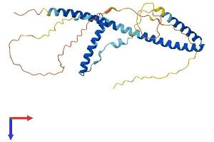 AlphaFold protein structure predicition of Human Recombinant HEXIM2 Protein, UniprotID Q96MH2